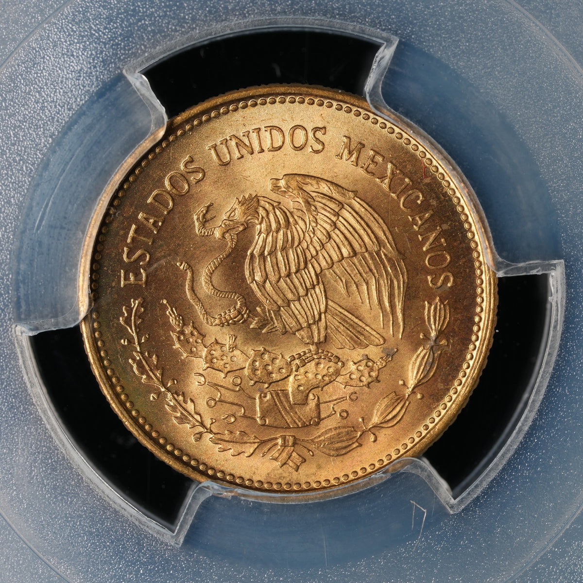 Mexico - 20 Centavos - 1983 - PCGS MS 65 (092)