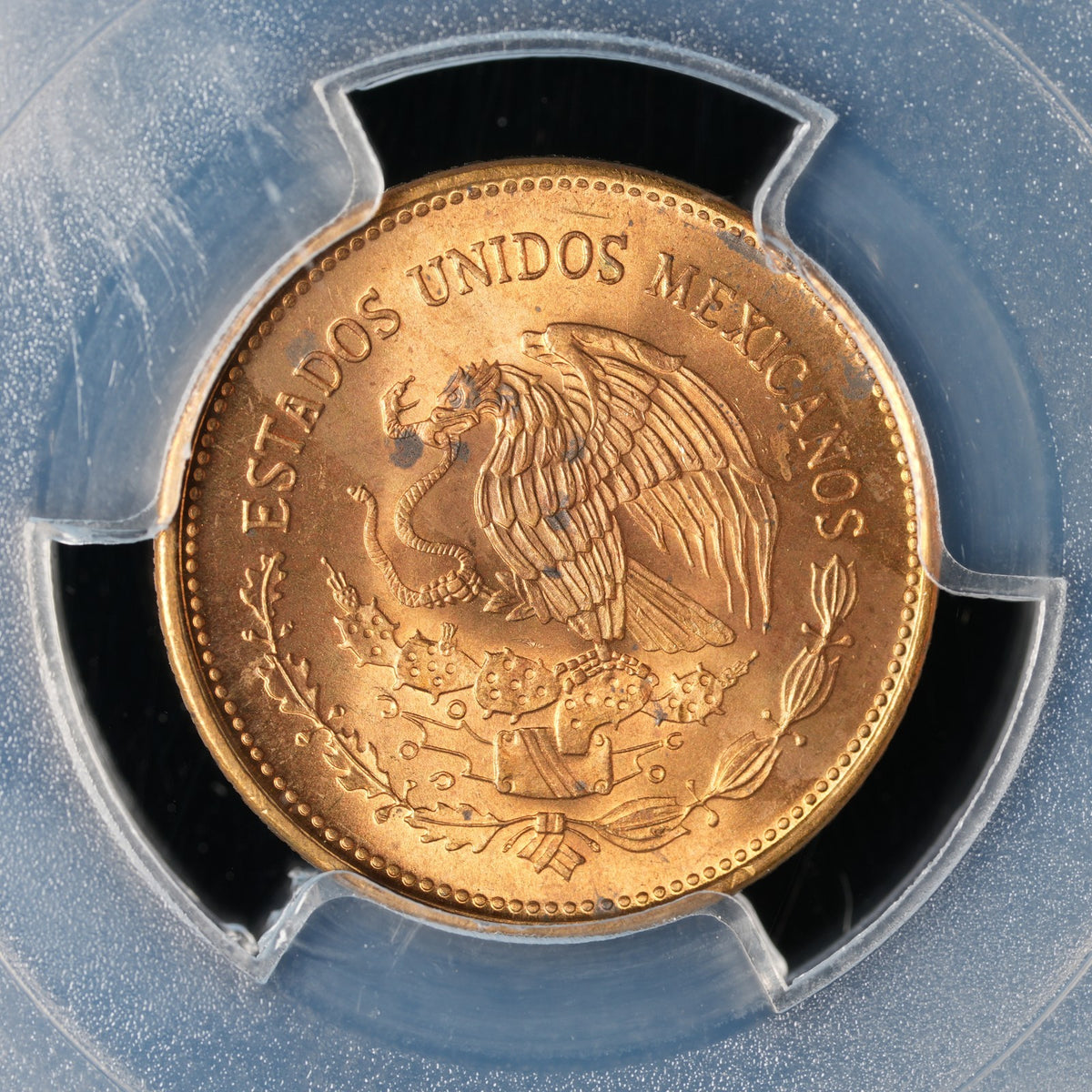 Mexico - 20 Centavos - 1983 - PCGS MS 65 (087)
