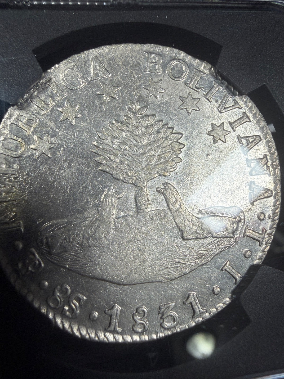 Bolivia - 8 Soles - 1831 PTS JL NGC AU 55